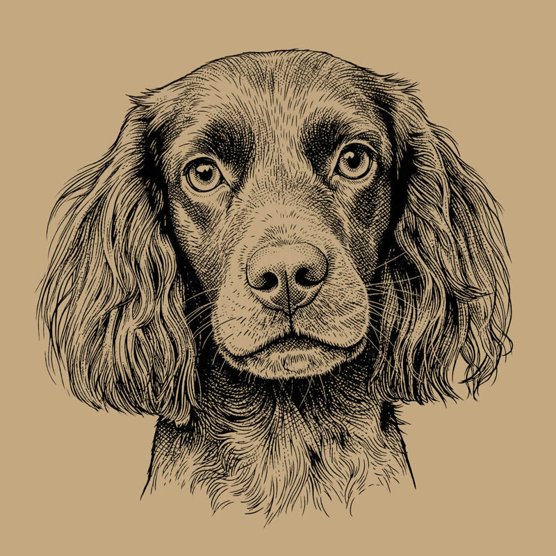 Comparison of original pet photo and custom ink sketch portrait for personalized pet gifts